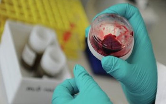 مصر اليوم - إجراءات وقائيّة في شمال سيّناء لمنع دخول كورونا البلاد