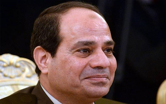 مصر اليوم - حملة السيسي تسعى إلى التواصل مع الرئاسة لتحقيق أهداف الثورة