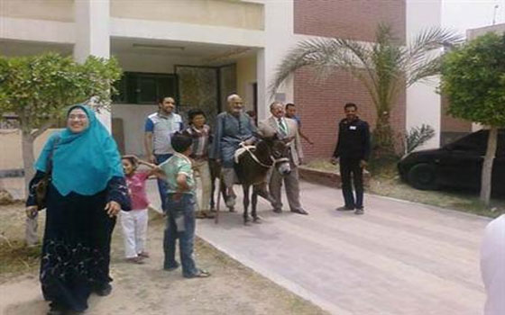   مصر اليوم - مواطن يدلي بصوته على ظهر حماره في البحيرة