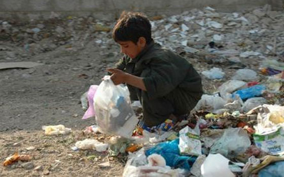   مصر اليوم - عضو الرقابة الماليّة تؤكّد أنّ تقليص الدعم هو القرار الأصعب على أجندة الرئيس المقبل