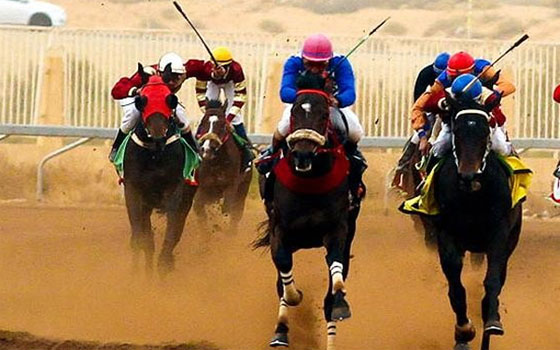   مصر اليوم - نادي الفروسية السعودي يقيم حفل سباقيه التاسع والعاشر