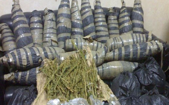 مصر اليوم - ضبط كميَّة من نبات البانجو مع مجنديْن في الحراسات الخاصة