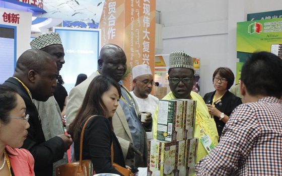   مصر اليوم - مصر تشارك في المعرض الأول للسلع العربيّة والإسلاميّة في الصين