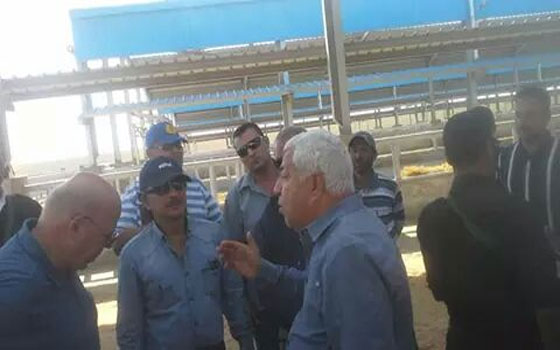   مصر اليوم - محافظ بورسعيد يتفقد محطة التسمين استعدادَا لاستقبال 1500 رأس ماشية