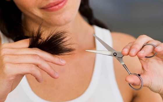 مصر اليوم - قناع طبيعي للتخلص من أطراف شعرك المقصفة