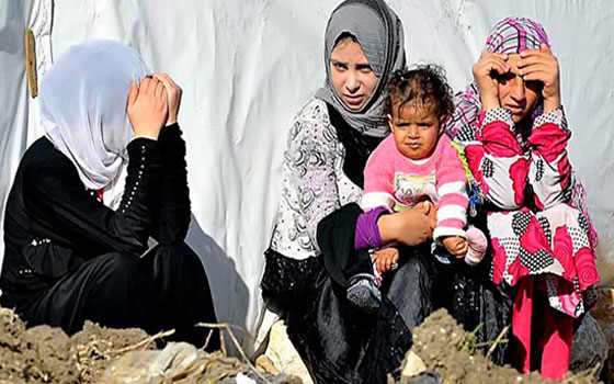   مصر اليوم - الهيئة الدولية لشؤون المرأة تشكو تعامل الإعلام مع تقريرها عن السوريَّات في كردستان