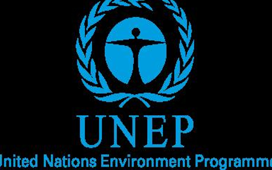   مصر اليوم - المغرب شريك التحالف من أجل المناخ والهواء الصحي