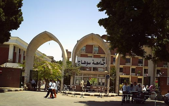   مصر اليوم - جامعة سوهاج تنظم ورشة عمل لتطوير منظومة الجهاز الإداري