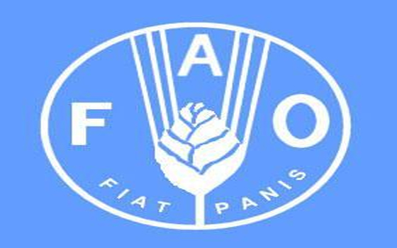   مصر اليوم - المغرب الأول عربيًا وأفريقيًا في صيد الأسماك