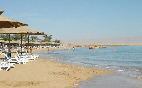   مصر اليوم - مؤيدين للسيسي وراء الغضب الشعبي من ضم السخنة إلى القاهرة