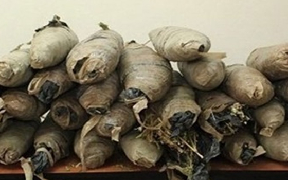 مصر اليوم - ضبط 28 لفافة بانجو بحوزة عاطل في بني سويف