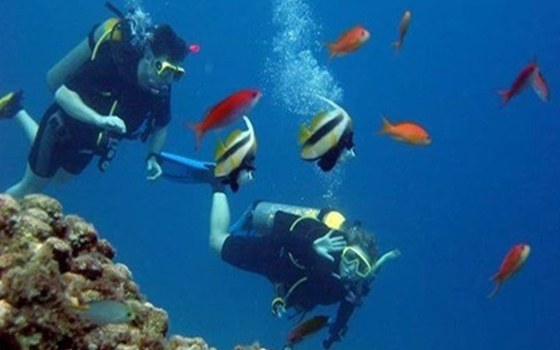   مصر اليوم - القوات البحريّة تشارك في المهرجان العالمي للغوص في الغردقة