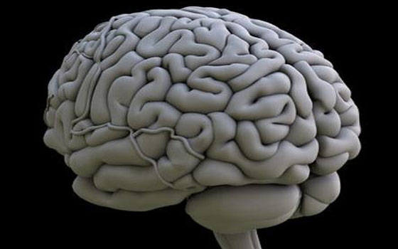   مصر اليوم - دراسة تكشف عن صغر بعض مراكز المخ بين لاعبي كرة القدم