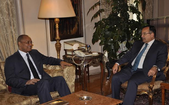   مصر اليوم - فهمي يستقبل رئيس بعثة الاتحاد الأفريقيّ لمراقبة انتخابات الرئاسة