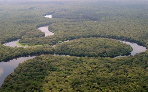   مصر اليوم - فريق عمل مشروع نهر الكونغو يستعرض المستجدّات السبت