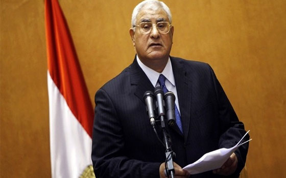 مصر اليوم - مستقبل وطن في الدقهلية توجه الشكر للمستشار عدلي منصور