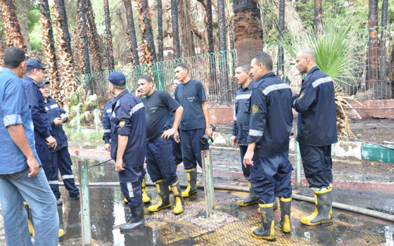   مصر اليوم - قوّات الحماية المدنيّة تُسيطر على حريق نشب في حديقة الحيوان