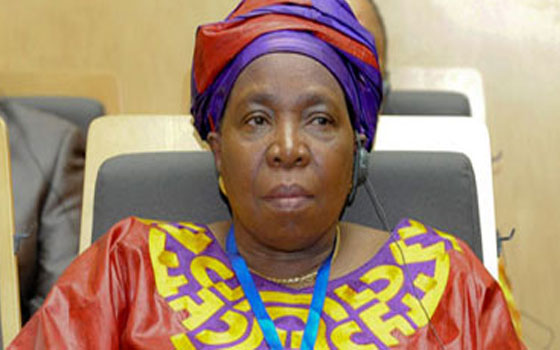   مصر اليوم - رئيسة مفوضية الإتحاد الأفريقي ترحب بإتفاقية جنوب السودان