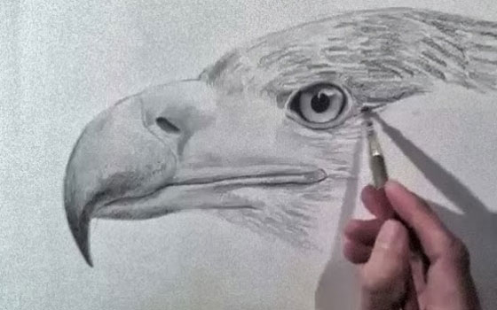   مصر اليوم - الرسم أفضل علاج للراحة والرفاهية والسعادة