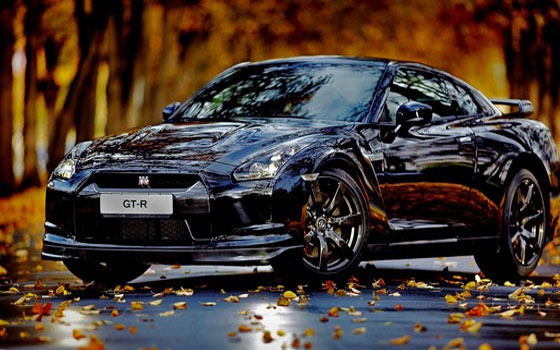   مصر اليوم - صمغ الأشجار يضر بطلاء السيارة