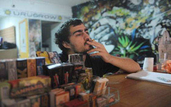   مصر اليوم - 10 غرامات من القنب الهنديّ أسبوعيّا لكل مستهلك في الأوروغواي