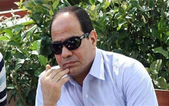 مصر اليوم - شباب حملة السيسي يجتمعون مع المتطوعين في الغردقة