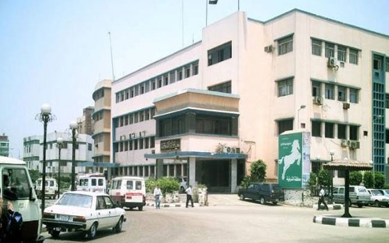   مصر اليوم - وقفة احتجاجية للعاملين المؤقتين بالصحة في الشرقية