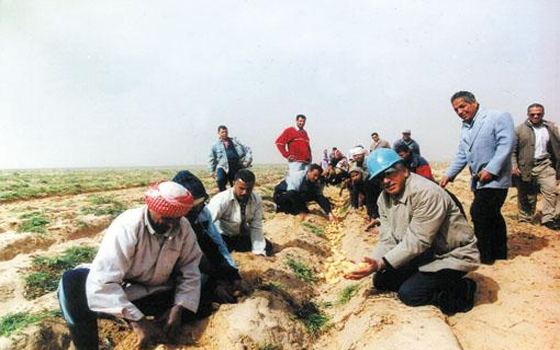   مصر اليوم - المُنظَّمة المصريَّة لإدارة الأزمات تُطالب بتنمية سيناء