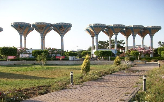   مصر اليوم - جامعة قناة السويس تعالج 287 مريضًا في الإسماعيلية