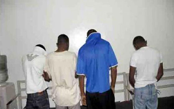   مصر اليوم - توقيف عصابة تخصّصت في تزوير تأشيرات السَّفر إلى ليبيا