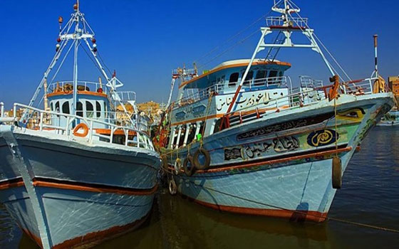 مصر اليوم - التحفظ على كميات من شباك الصيد المخالفة في الغردقة