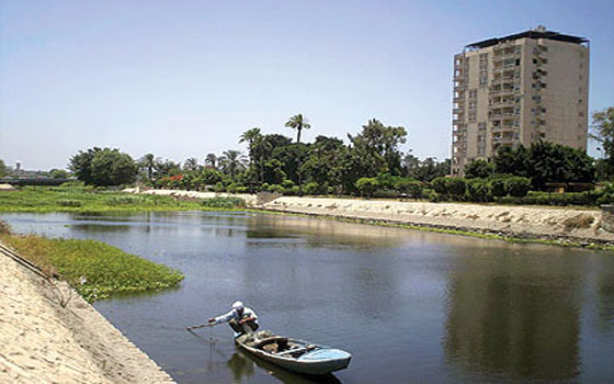 مصر اليوم - وزارة الري تعمل على إزالة ورد النيل من ترعة المحموديّة