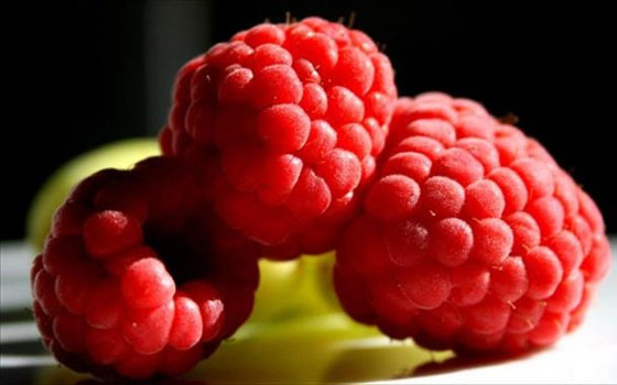 مصر اليوم - للتوت الأحمر منافع جمالية اكتشفيها