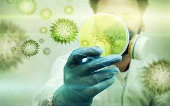   مصر اليوم - شركة أميركيّة تُعلّن تطوير لقاح آمن وفعال ضد كورونا