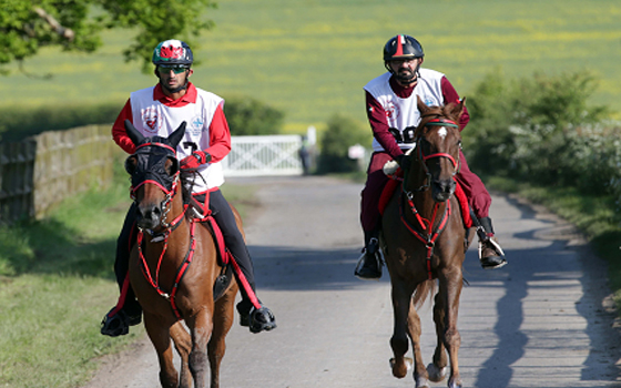   مصر اليوم - الشيخ محمد بن راشد يقود فرسان الإمارات للفوز في سباق القدرة الملكي
