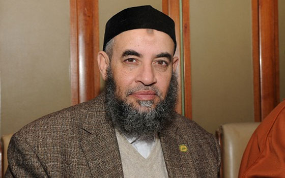   مصر اليوم - رئيس حزب النور يعتبر السيسي رجل المرحلة المقبلة