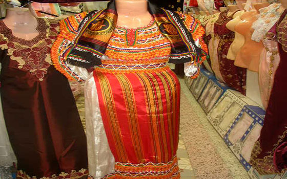   مصر اليوم - تكريم ثمانية من الفائزين في المسابقة الجزائرية للزي التقليدي