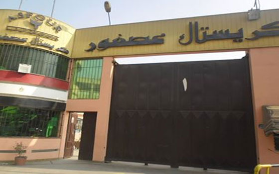   مصر اليوم - المرأة الجديدة تتضامن مع العاملين بشركة كريستال عصفور