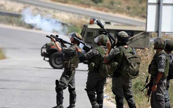   مصر اليوم - القوات الإسرائيلية تطلق النار تجاه منازل الفلسطينيين