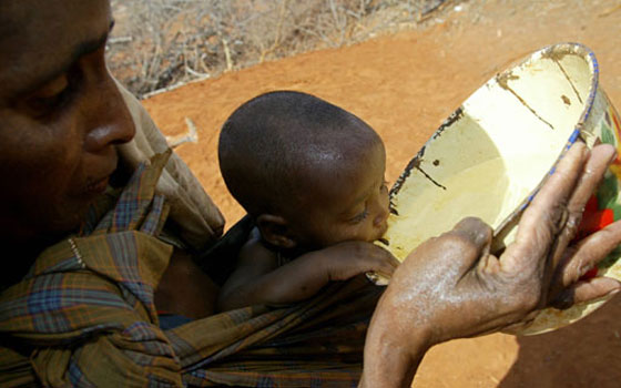   مصر اليوم - 11 مليون دولار من الاتحاد الأوروبي لدعم مشروعات مياه الشرب في جيبوتي