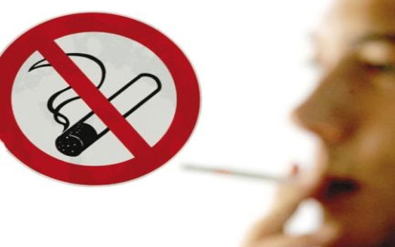   مصر اليوم - خطة لحظر التدخين نهائيًا في المطاعم النمساوية