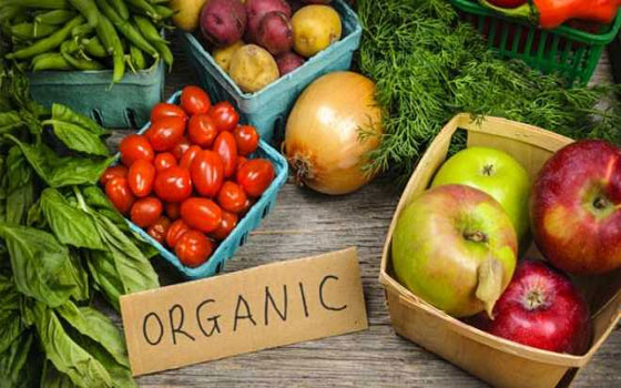   مصر اليوم - ارتفاع نسبة استهلاك المنتجات الغذائية العضوية في فرنسا