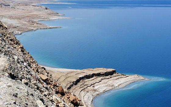 مصر اليوم - فريق بيئي من المحميات لرصد للحشائش البحرية في مياه البحر الأحمر