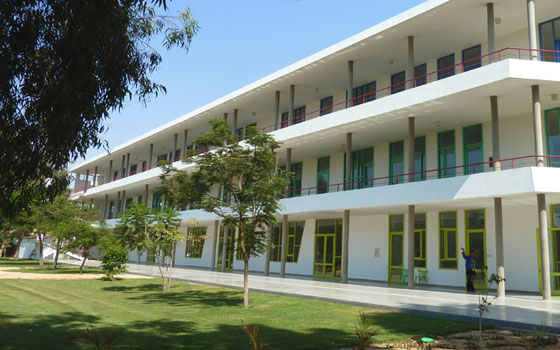   مصر اليوم - جامعة هليوبليس تستضيف الحائزين على جائزة نوبل البديلة