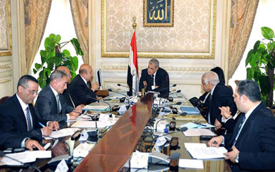   مصر اليوم - مجلس الوزراء يطمئن على الاجراءات الوقائية ضد مرض الملاريا