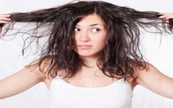 مصر اليوم - خلطات لمعالجة الشعر الجاف والمتطاير