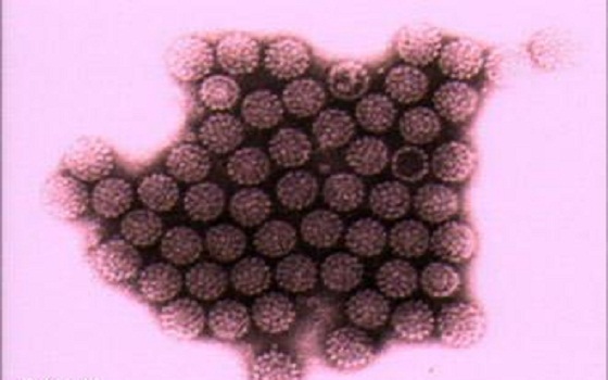   مصر اليوم - اكتشاف جزيء صغيّر يرتبط باستجابة الجسم لعلاج الاكتئاب