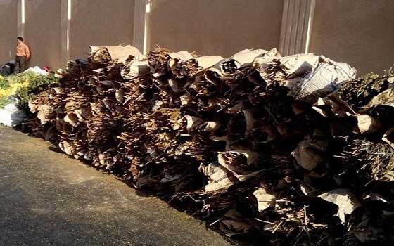 مصر اليوم - إحباط محاولة تهريب طن من مخدر البانجو في العين السخنة