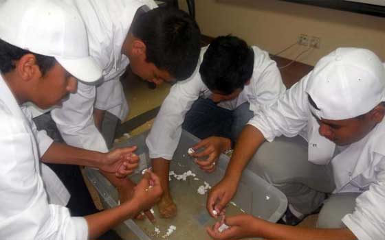   مصر اليوم - جامعة طيبة في المدينة المنورة السعودية تطلق برنامج موهبة