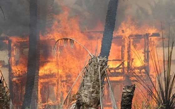   مصر اليوم - السيطرة على حريق في مزارع الزيتون في سيوة